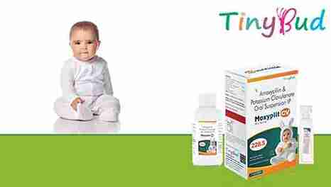 Moxyplit CV 228.5 Dry Syrup at Best Price in Antibiotic Franchise for Antibiotic and Beta-lactamase Inhibitor.
